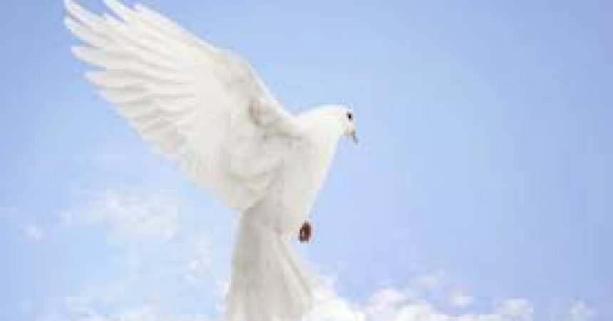 How to Celebrate the International Day of Peace