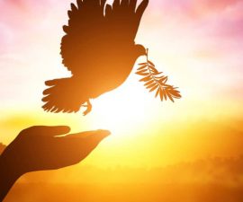 10 Educational Resources for the International Day of Peace