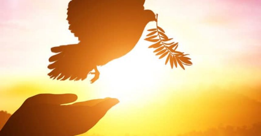 10 Educational Resources for the International Day of Peace